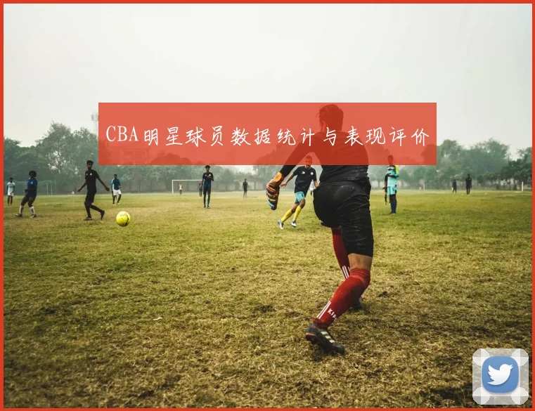 CBA明星球员数据统计与表现评价